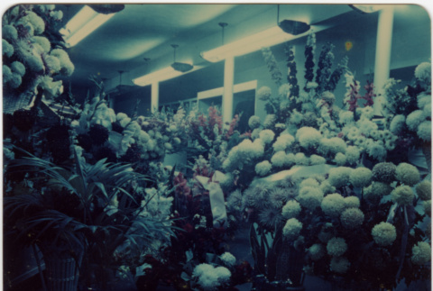 Large display of flowers (ddr-densho-426-843)