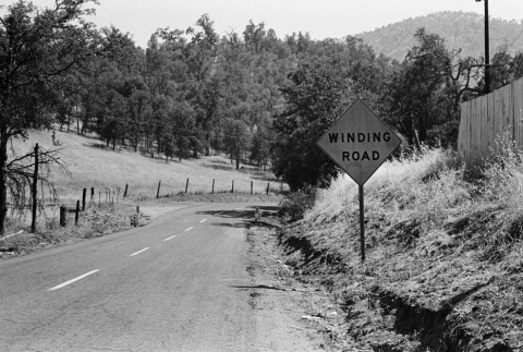 Winding road sign taken after a bus accident (ddr-densho-336-255)