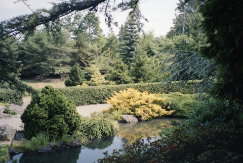 Looking from stones northeast toward pond at Japanese Garden (ddr-densho-354-1533)