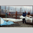 Landscaping in progress (ddr-densho-377-2351)