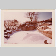 Frozen pond (ddr-densho-377-1736)