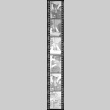 Negative film strip for Farewell to Manzanar scene stills (ddr-densho-317-241)