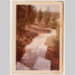 Stone path through trees (ddr-densho-377-2183)