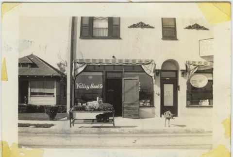 Storefront of Valley Seed Company (ddr-densho-242-23)