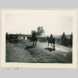 Cattle drive (ddr-densho-37-926)