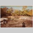 Landscaping under construction (ddr-densho-377-2314)