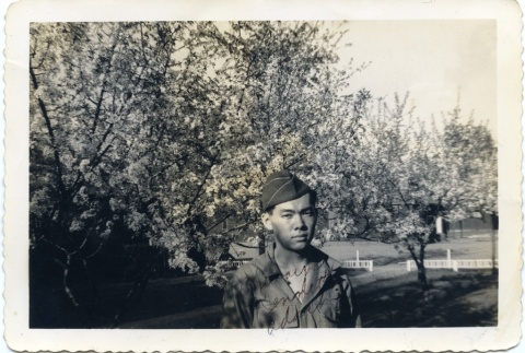 A soldier standing next to flowering trees (ddr-densho-22-403)