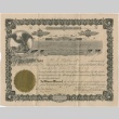 Certificate for shares of Campbell Land Company (ddr-densho-278-37)
