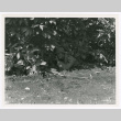 Soldier stationed in cover (ddr-densho-1007-167)