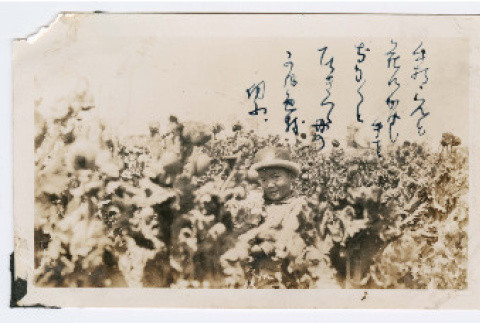 Photograph (ddr-densho-480-93-mezzanine-d7ac569c6b)