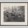 Three people in a park (ddr-densho-433-1175)