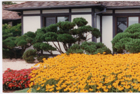 Straus garden project (ddr-densho-377-3022)