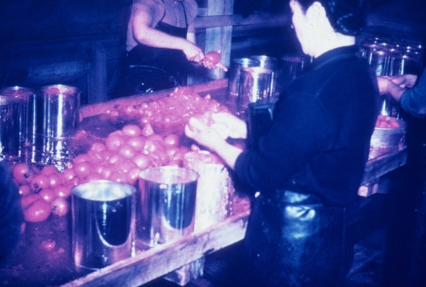 Japanese Americans canning tomatoes (ddr-densho-160-104)