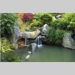Kubota Garden Pond (ddr-densho-354-1715)