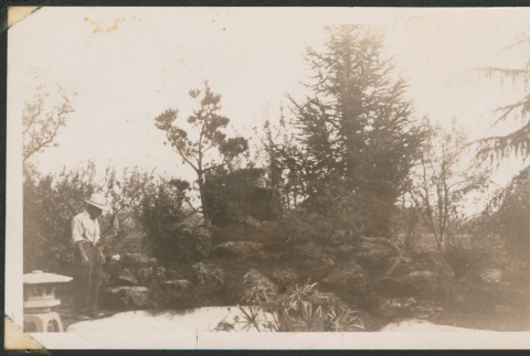Man standing in a Japanese garden (ddr-densho-433-759)