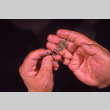 Hands and Phi Beta Kappa key (ddr-densho-1007-491)