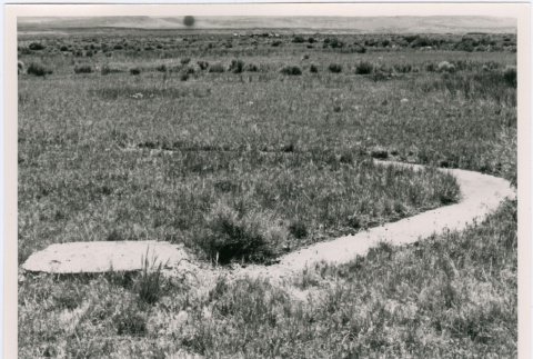 Walkway to and doorstep for Tule Lake voluntary fire station (ddr-densho-345-118)