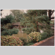 Bridge (ddr-densho-377-2057)