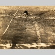 Hideko Maehata swimming breaststroke (ddr-njpa-4-693)