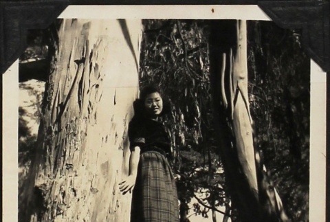 Tomoye (Nozawa) Takahashi standing in tree (ddr-densho-423-550)