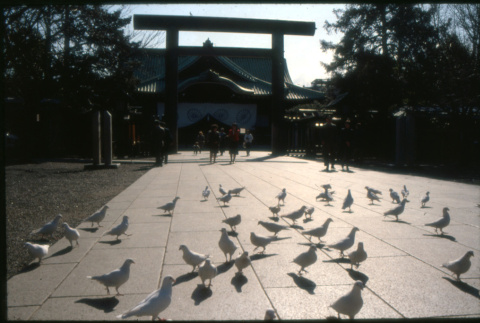 Birds and temple (ddr-densho-1007-1340)