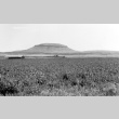 Former site of Tule Lake concentration camp, California (ddr-densho-35-17)