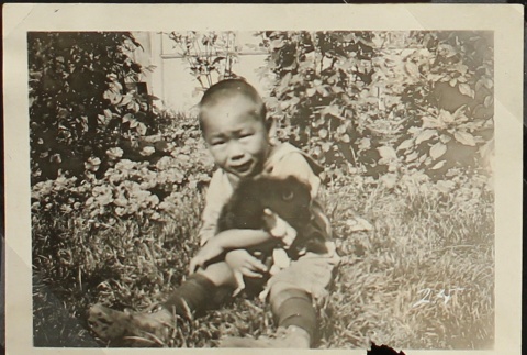 Young Nisei boy holding a puppy (ddr-densho-259-429)