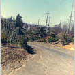 Road near corner of 55th Ave S and Renton Avenue (ddr-densho-354-581)