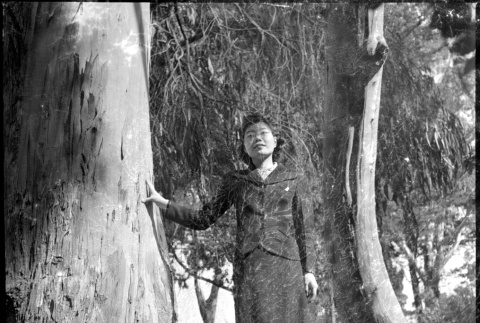 Tomoye (Nozawa) Takahashi posing in tree (ddr-densho-426-1691)