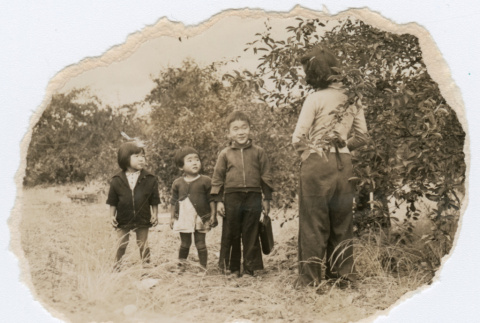 Japanese American children picking cherries (ddr-densho-26-55)