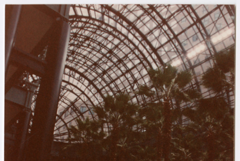 Indoor eating area with trees (ddr-densho-377-2284)