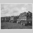 Nisei soldiers moving by truck (ddr-densho-114-126)