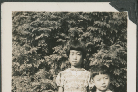 Young girl with Kinji (ddr-densho-355-492)