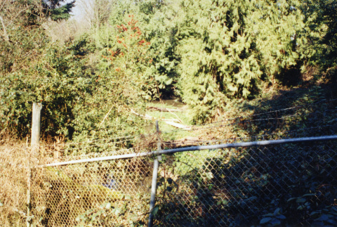 Fence bordering Garden on north, looking from neighbor's house back (ddr-densho-354-805)