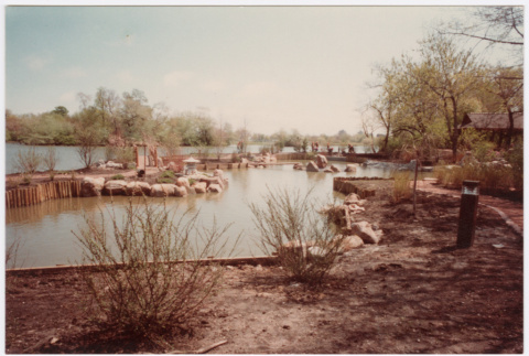 Pond with plants (ddr-densho-377-2097)