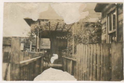 Young child outside house (ddr-densho-383-413)