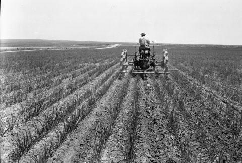 Man working a tractor in a field (ddr-fom-1-34)