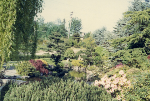 Japanese Garden looking northeast (ddr-densho-354-561)