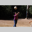 Marilyn Ohama playing volleyball (ddr-densho-336-856)