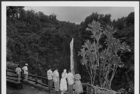 Nisei tourists at Akaka Falls (ddr-densho-363-223)