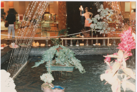 Bonsai arrangements in fountain (ddr-densho-534-59)