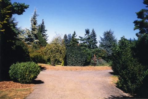 Secondary Garden entrance (ddr-densho-354-725)