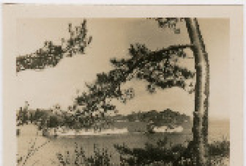 Photo,  front and back (ddr-densho-426-1391-mezzanine-024f21b3dc)
