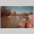 Pond with bridge (ddr-densho-377-2317)