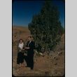 A man and woman next to a tree (ddr-densho-338-488)