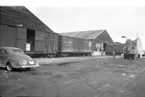 Freight Train cars at Tule Lake Warehouse (ddr-densho-570-53)