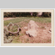 Rock trio (ddr-densho-377-1740)