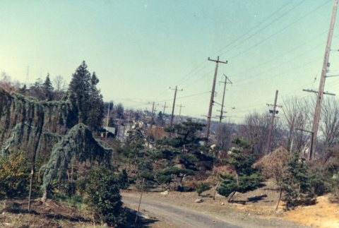 Road near corner of 55th Ave S and Renton Avenue (ddr-densho-354-581)