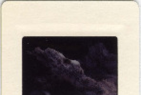 Front and back (ddr-densho-377-627-mezzanine-0d4e580141)