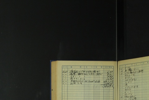 Page 413 (ddr-densho-255-5-master-23c52c131a)